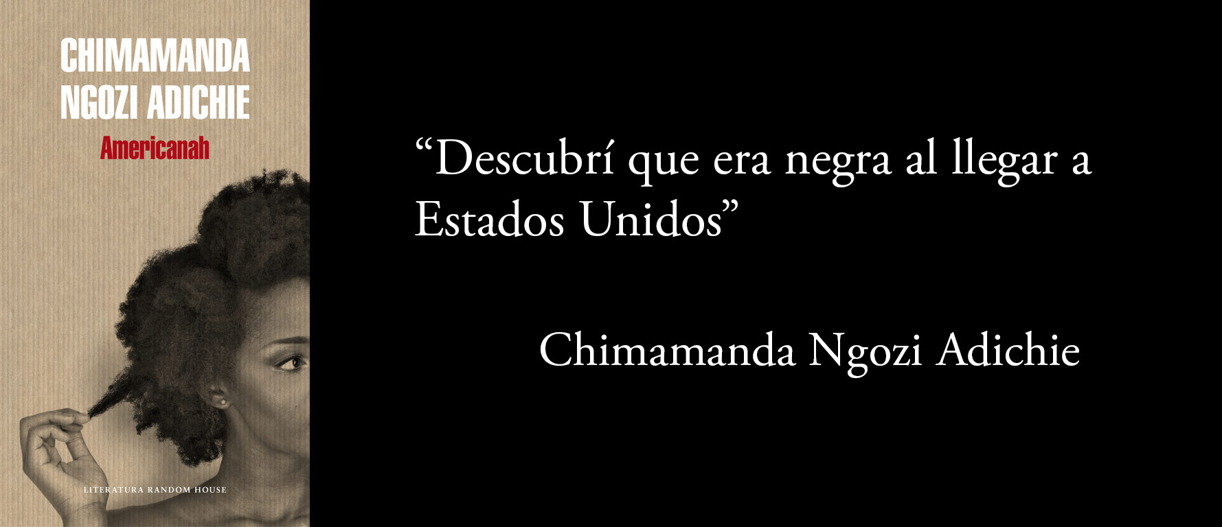 Americanah cita Adichie