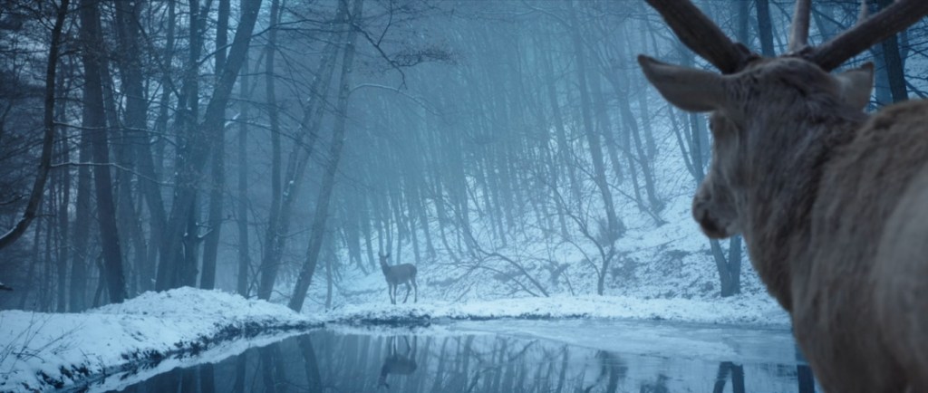 Fotograma de En cuerpo y alma. Dos ciervos se miran, separados por un lago en un paisaje de bosque nevado