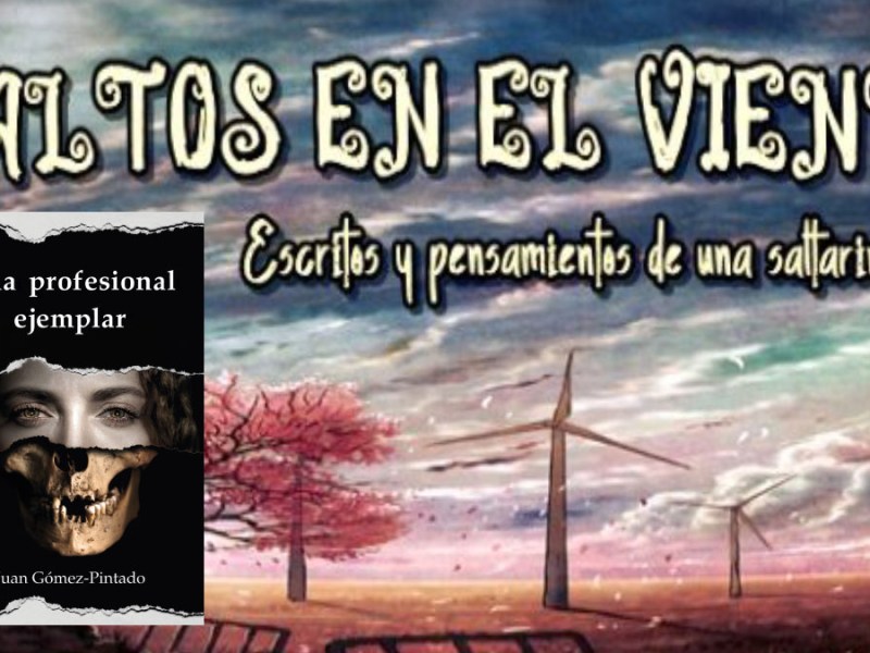 El mejor y el peor de los tiempos: Coremi reseña «Una profesional&nbsp;ejemplar»