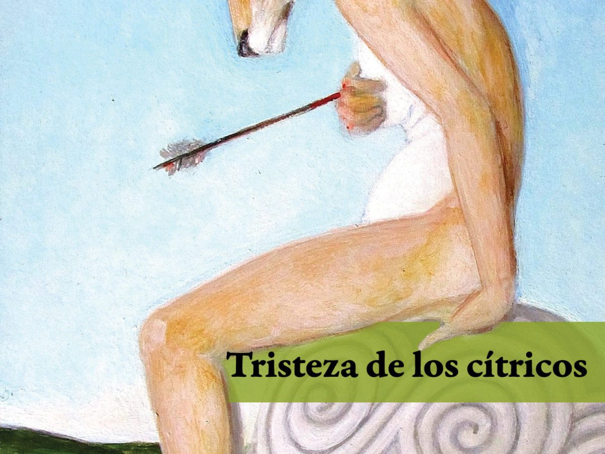 «Tristeza de los cítricos» (2019), de Liliana&nbsp;Blum